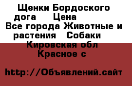 Щенки Бордоского дога.  › Цена ­ 30 000 - Все города Животные и растения » Собаки   . Кировская обл.,Красное с.